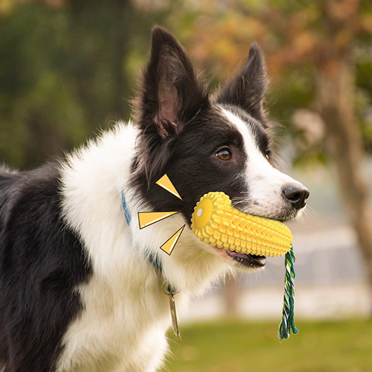 Mainan Anjing Karet Tahan Lama - Corn Dog Stick ulasan dan harga